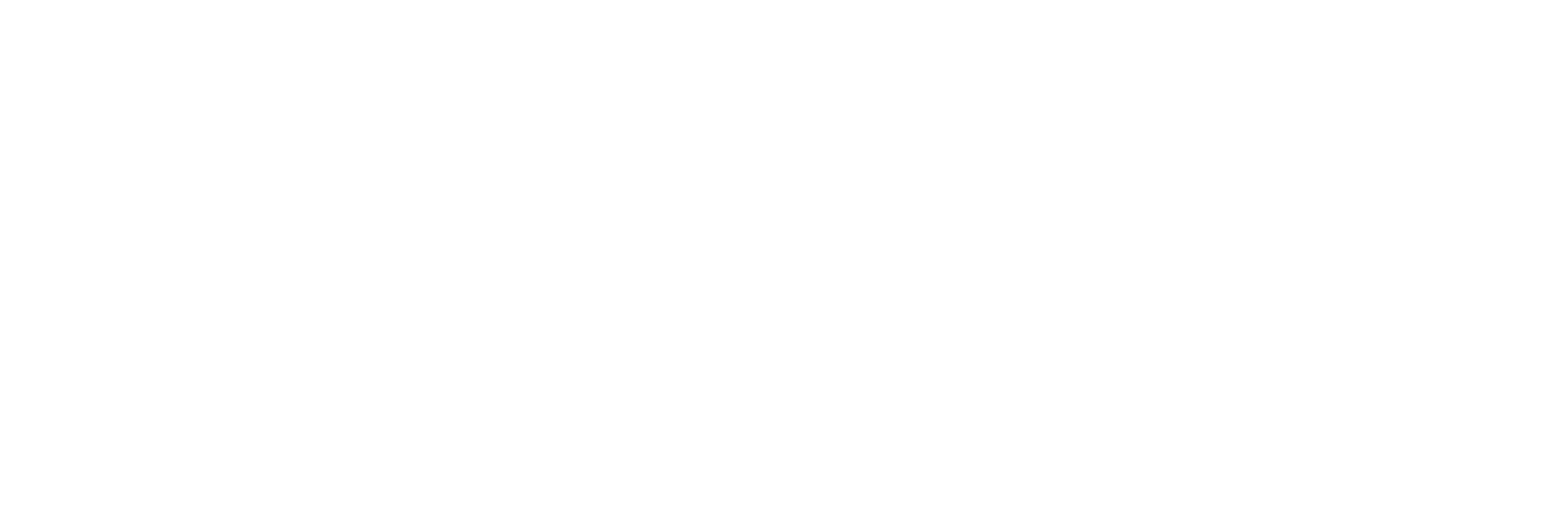 Fligo — Optimización de procesos